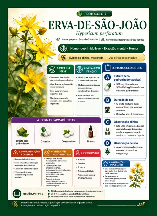 Amostra 6