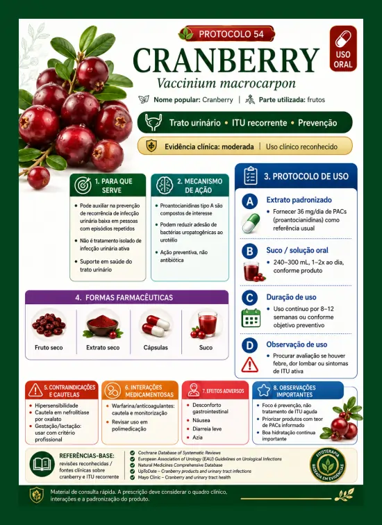 Amostra 7
